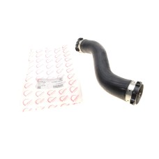 Патрубок інтеркулера (L) BMW 1 (F20/F21)/3 (F30/F80) 15- B38