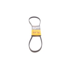 Ремінь генератора Citroen Jumper/Fiat Ducato/Peugeot Boxer 3.0HDi/D 06-
