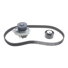 Комплект ГРМ + помпа Fiat Doblo/Palio/Panda/Punto/Stilo/Tipo/Opel Combo 1.4i 10- (22x124z)