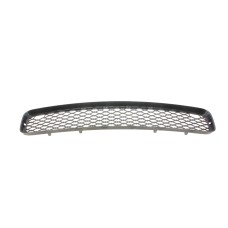 Решітка бампера (нижня) BMW X5 (E70) 07-13