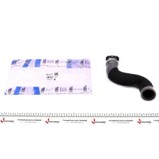 Патрубок інтеркулера (R) Renault Megane III 1.5 dCi 08-