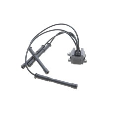 Котушка запалювання Renault Kangoo 1.2 16V 01- (к-кт) (+ проводи запалювання)
