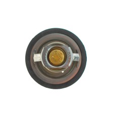 Термостат Renault Koleos/Laguna III/Megane III 2.0 16V 07-