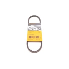 Ремінь генератора VW Corrado 1.8 88-93/Citroen CX 2.0 74-79 (10X660)