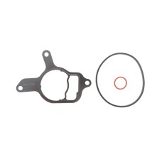 Прокладка насоса вакуумного VW Golf VI/Jetta III/IV 2.5 06- (к-кт)