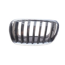 Решітка радіатора BMW X5 (E70)/X6 (E71) 06-14 (L)