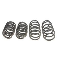 Комплект пружин (Pro-Kit) Opel Signum/Vectra C 03-09 (4 шт.)