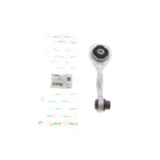Подушка двигуна (задня) Renault Kangoo 1.5dCi/1.6 (косточка)