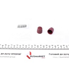 Сервісний Ковпачок заправочних портів (ВД) (2 шт.)