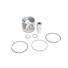 Поршень Ford Connect 1.8TDCI 06-13 (82.50mm/STD)