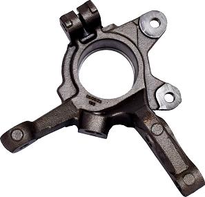 ASAM 100151 - Шийка осі, підвіска коліс autodetail.com.ua