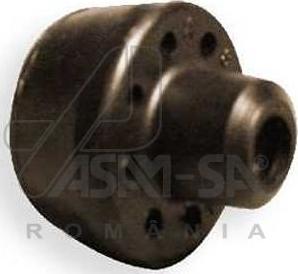 ASAM 30376 - Опора, радіатор autodetail.com.ua