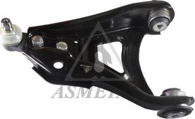 AS Metal 30RN2002 - Важіль підвіски, підвіска коліс autodetail.com.ua