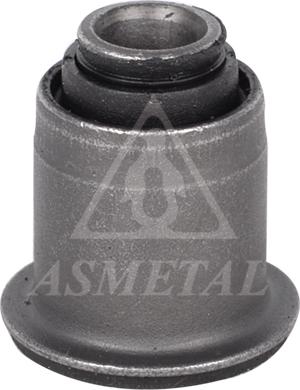 AS Metal 38RN5541 - Опора, важіль підвіски autodetail.com.ua