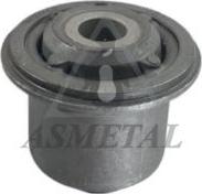 AS Metal 38RN5560 - Опора, важіль підвіски autodetail.com.ua