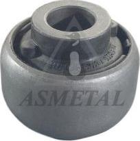 AS Metal 38RN0510 - Опора, важіль підвіски autodetail.com.ua