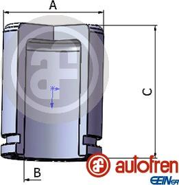 AUTOFREN SEINSA D025453 - Поршень, гальмівний супорт autodetail.com.ua