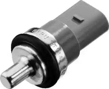 BorgWarner (BERU) ST114 - Датчик, температура охолоджувальної рідини autodetail.com.ua