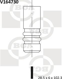 BGA V164730 - Впускний клапан autodetail.com.ua