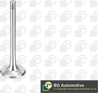 BGA V163720 - Впускний клапан autodetail.com.ua