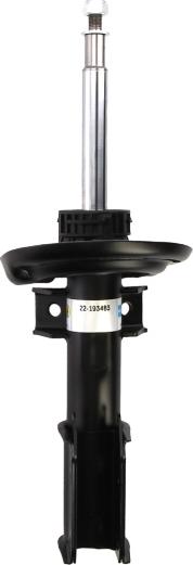 Bilstein 22-193483 - Амортизатор autodetail.com.ua