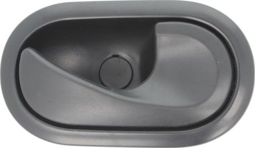 BLIC 6010-09-049408P - Ручка дверей autodetail.com.ua