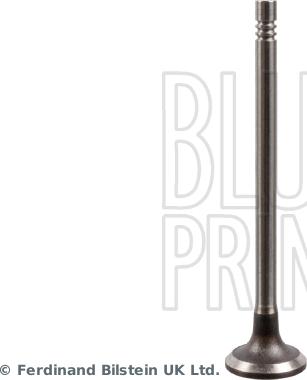Blue Print ADBP610034 - Впускний клапан autodetail.com.ua