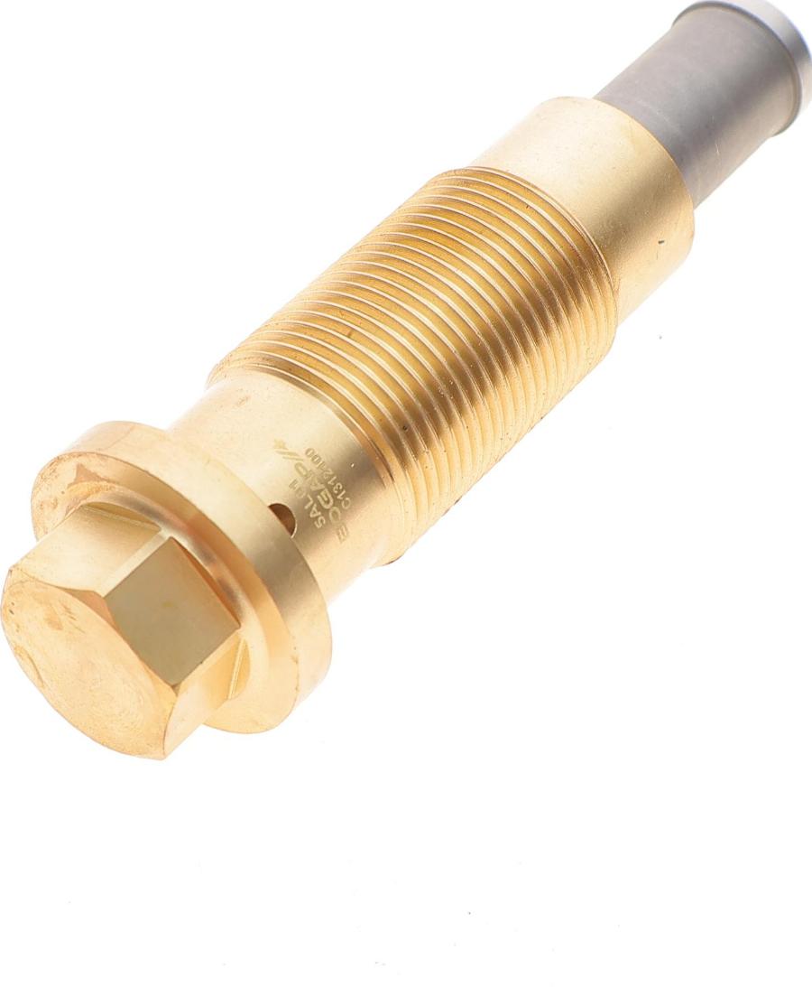 BOGAP C1312100 - Натяжний пристрій, ланцюг привода autodetail.com.ua