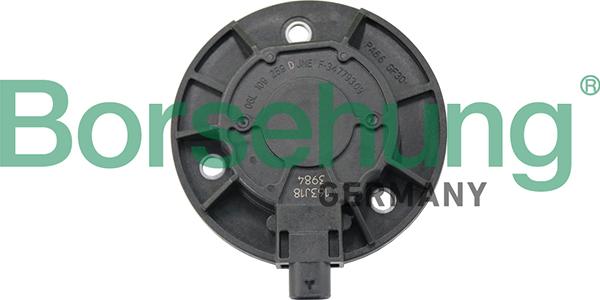 Borsehung B19124 - Центральний магніт, регулювання фаз газорозподілу autodetail.com.ua