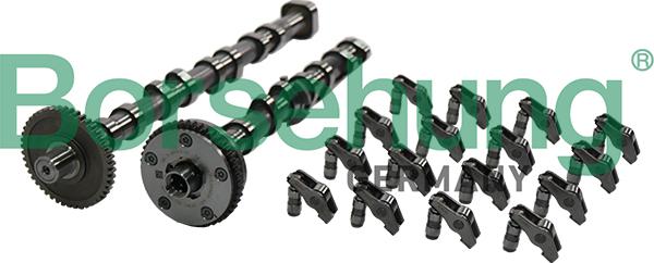 Borsehung B19173 - Комплект кулачкового вала autodetail.com.ua