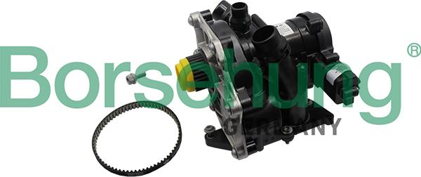 Borsehung B19205 - Водяний насос autodetail.com.ua