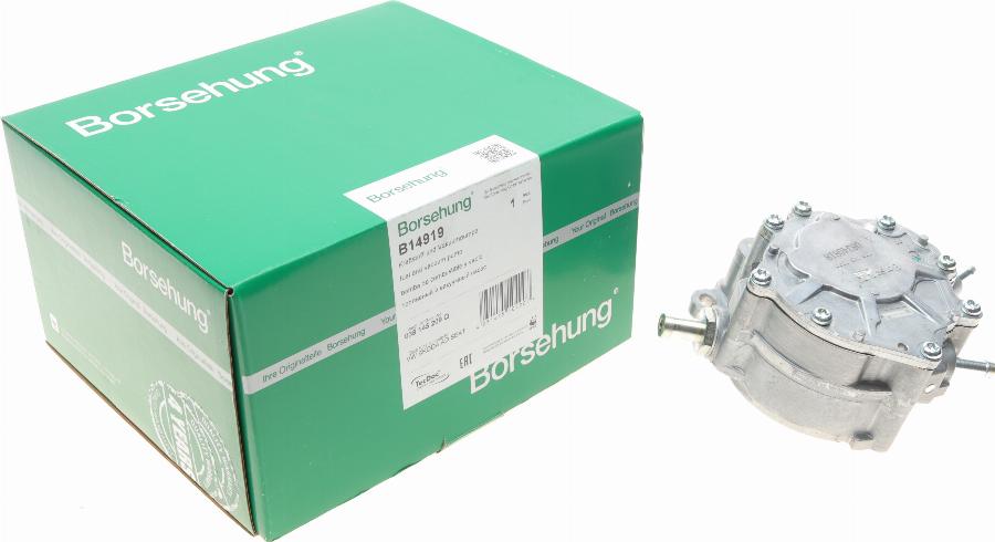 Borsehung B14919 - Вакуумний насос, гальмівна установка autodetail.com.ua