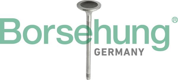 Borsehung B10343 - Комплект поршневих кілець autodetail.com.ua