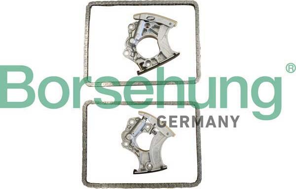 Borsehung B10243 - Комплект ланцюгів привода autodetail.com.ua