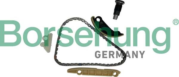 Borsehung B10254 - Комплект ланцюгів привода autodetail.com.ua