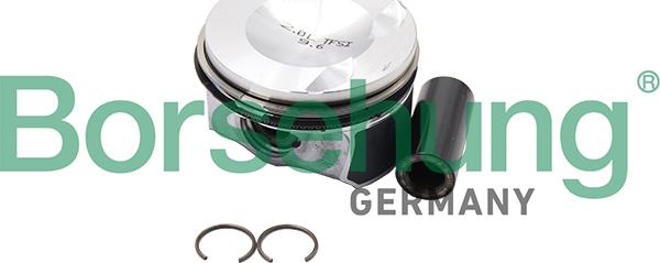 Borsehung B18993 - Комплект поршневих кілець autodetail.com.ua
