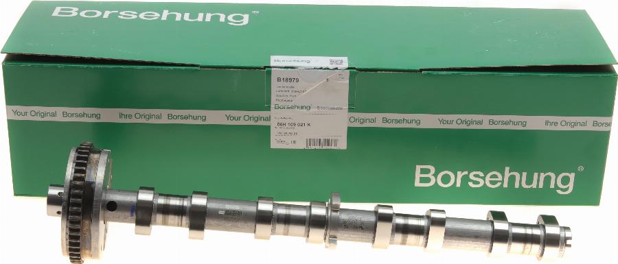 Borsehung B18979 - Кулачковий вал autodetail.com.ua