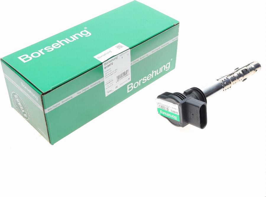 Borsehung B18972 - Котушка запалювання autodetail.com.ua