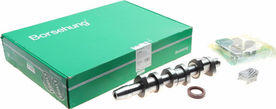 Borsehung B18665 - Комплект кулачкового вала autodetail.com.ua