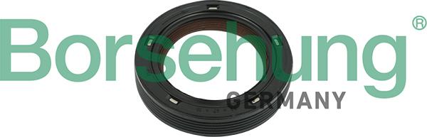 Borsehung B18729 - Ущільнювальне кільце вала, кулачковий вал autodetail.com.ua