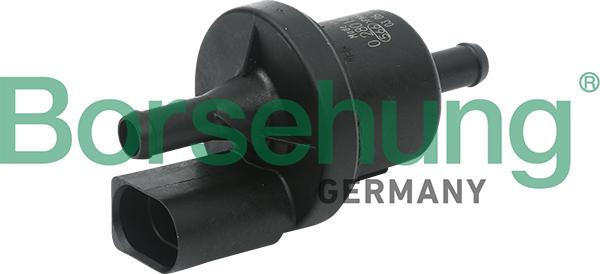 Borsehung B13667 - Клапан, вугільний фільтр autodetail.com.ua
