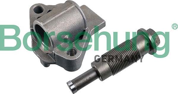Borsehung B12593 - Натяжний пристрій, ланцюг привода autodetail.com.ua
