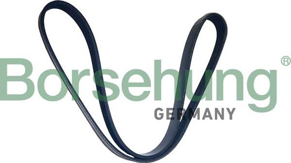 Borsehung B12505 - Поліклиновий ремінь autodetail.com.ua