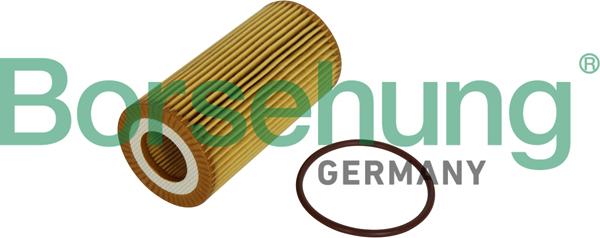 Borsehung B12225 - Оливний фільтр autodetail.com.ua