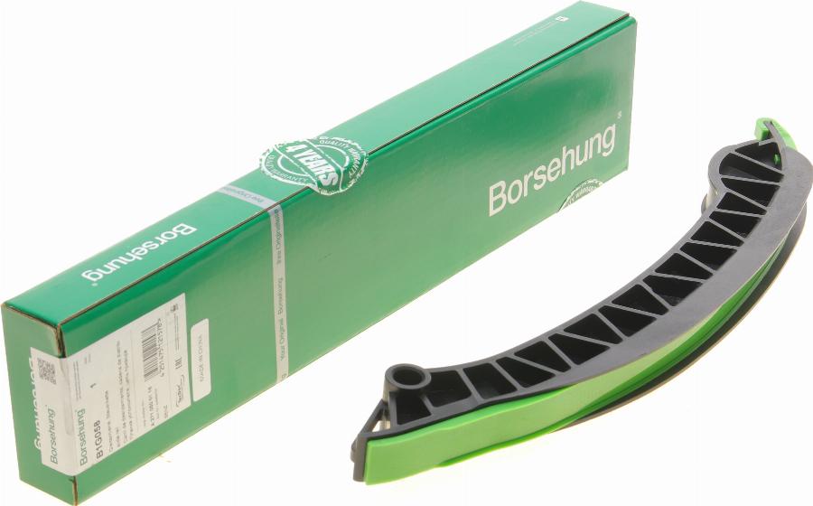 Borsehung B1G058 - Напрямна планка, ланцюг керування autodetail.com.ua