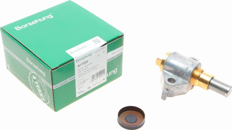 Borsehung B1T024 - Натяжний пристрій, ланцюг привода autodetail.com.ua