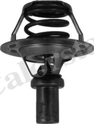 Calorstat by Vernet TH5284.86J - Термостат, охолоджувальна рідина autodetail.com.ua