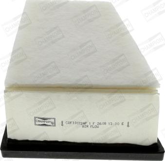 Champion CAF100724P - Повітряний фільтр autodetail.com.ua