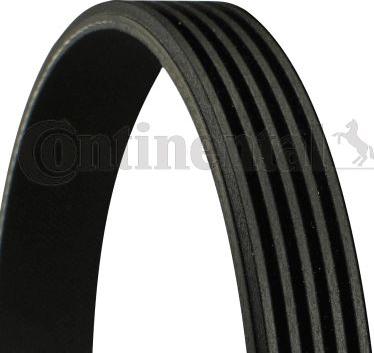 Continental 5 PK 1441 - Поліклиновий ремінь autodetail.com.ua