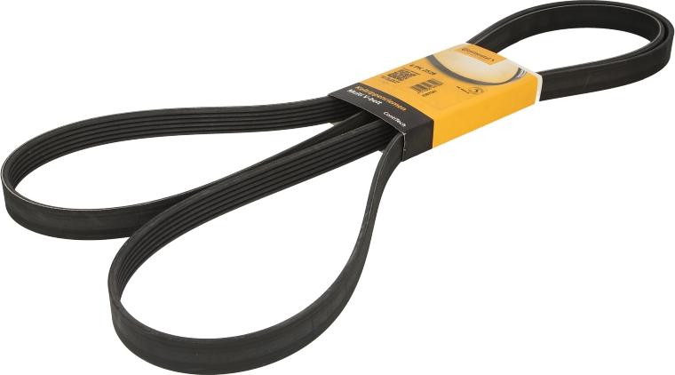 Continental 6 PK 2528 - Поліклиновий ремінь autodetail.com.ua